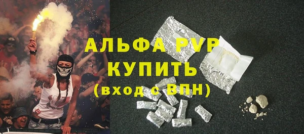 spice Аркадак