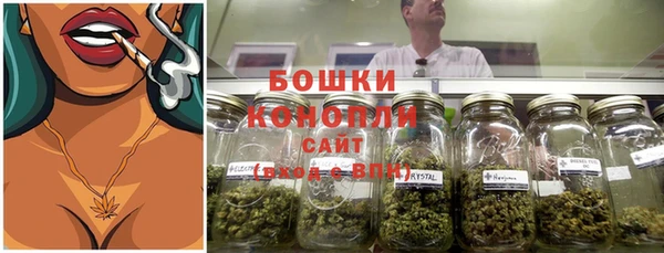spice Аркадак