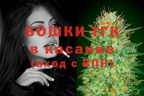 spice Аркадак