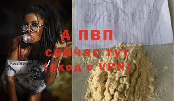 spice Аркадак