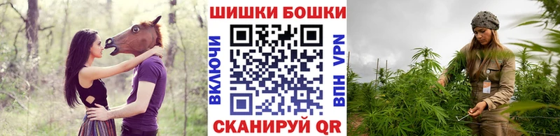 Шишки марихуана сатива  Ленск 